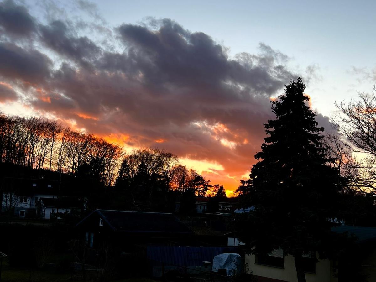 Fewo Sunshine Heringsdorf  Extérieur photo