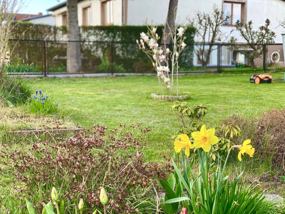 Fewo Sunshine Heringsdorf  Extérieur photo