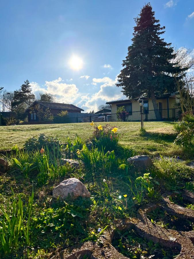 Fewo Sunshine Heringsdorf  Extérieur photo